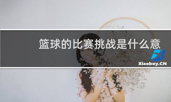 篮球的比赛挑战是什么意思图片