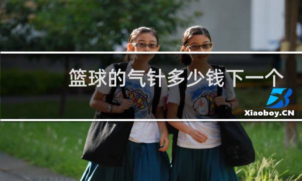 篮球的气针多少钱下一个图片