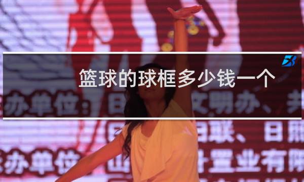 篮球的球框多少钱一个图片