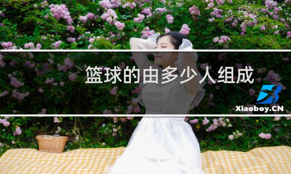 篮球的由多少人组成图片