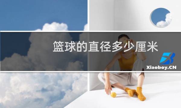 篮球的直径多少厘米图片