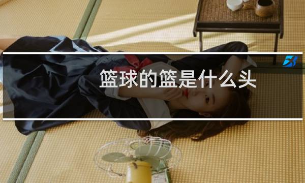 篮球的篮是什么头图片