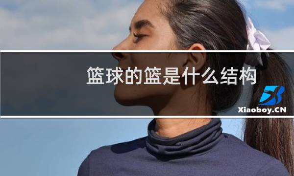 篮球的篮是什么结构图片
