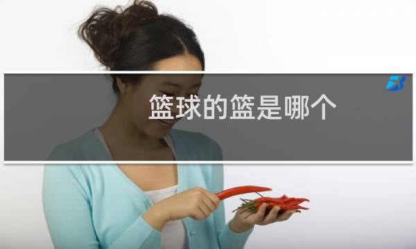 篮球的篮是哪个图片