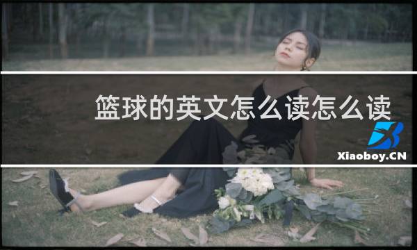 篮球的英文怎么读怎么读图片