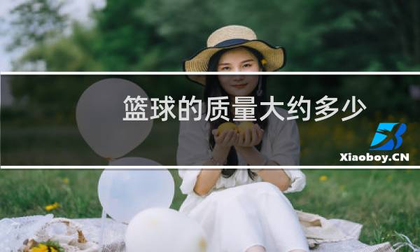 篮球的质量大约多少图片