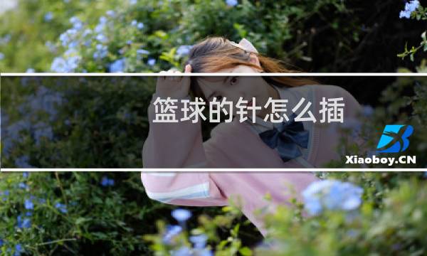 篮球的针怎么插图片