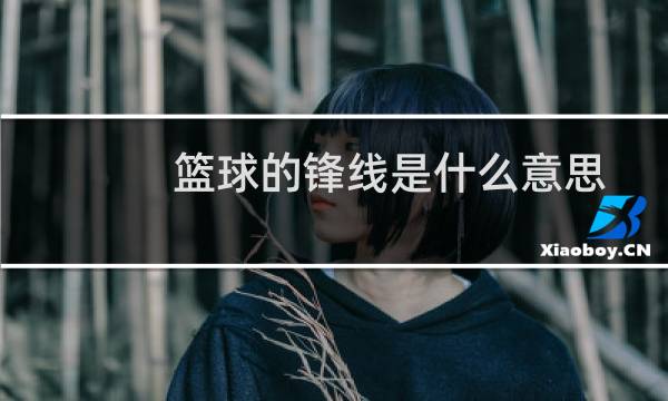 篮球的锋线是什么意思图片
