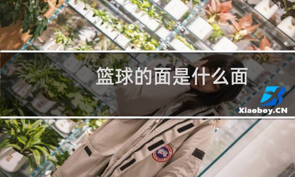 篮球的面是什么面图片