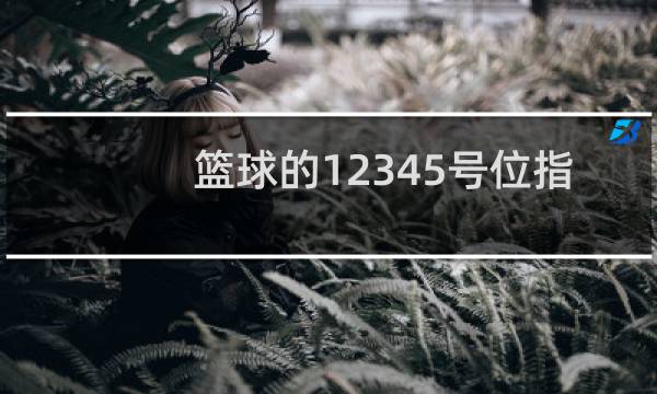 篮球的12345号位指什么图片