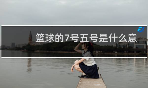 篮球的7号五号是什么意思图片