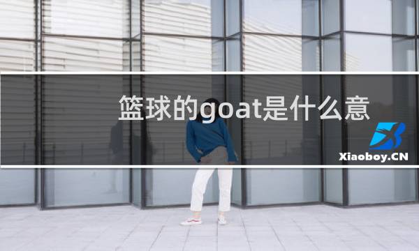 篮球的goat是什么意思图片