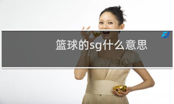 篮球的sg什么意思图片