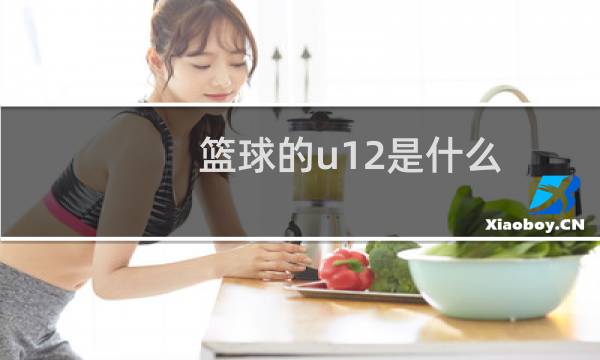 篮球的u12是什么图片