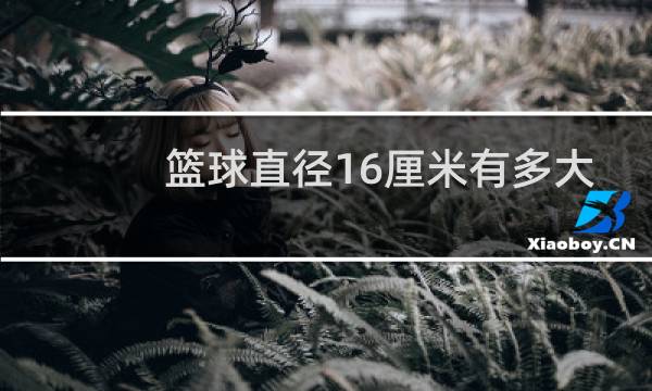 篮球直径16厘米有多大图片