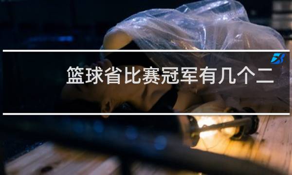 篮球省比赛冠军有几个二级证图片