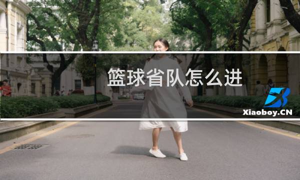 篮球省队怎么进图片