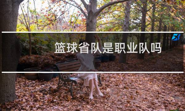 篮球省队是职业队吗图片