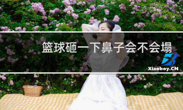 篮球砸一下鼻子会不会塌图片
