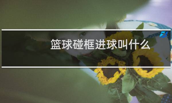 篮球碰框进球叫什么图片