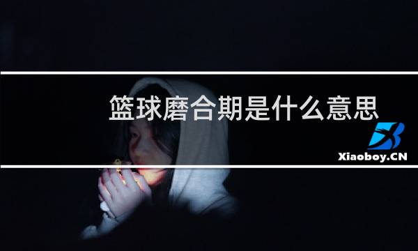 篮球磨合期是什么意思图片