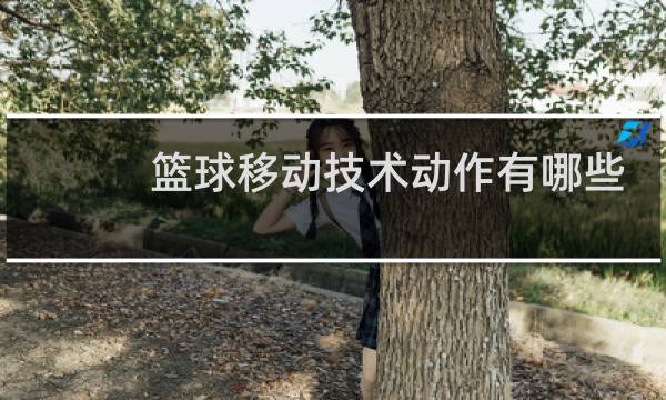 篮球移动技术动作有哪些图片