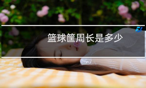 篮球筐周长是多少图片