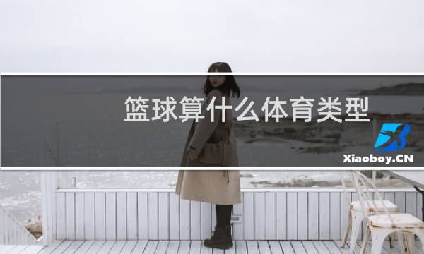篮球算什么体育类型图片