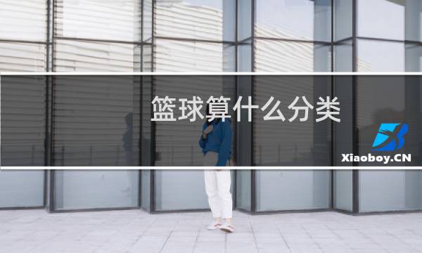 篮球算什么分类图片