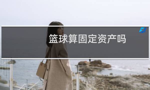 篮球算固定资产吗图片