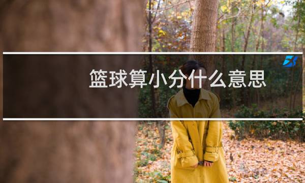 篮球算小分什么意思图片