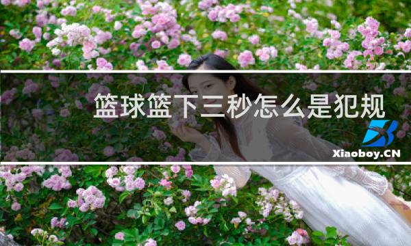 篮球篮下三秒怎么是犯规图片