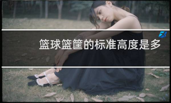 篮球篮筐的标准高度是多少图片