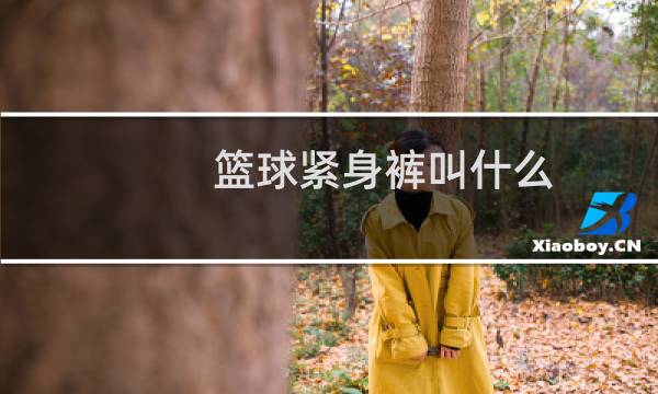 篮球紧身裤叫什么图片