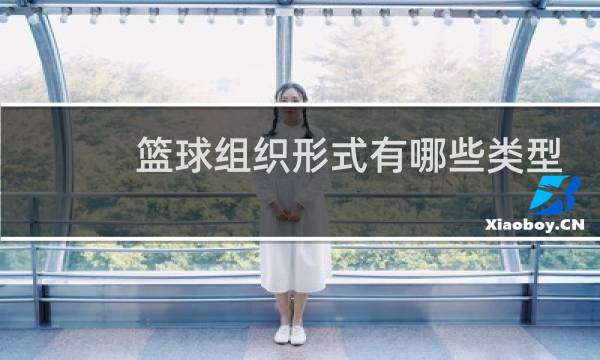 篮球组织形式有哪些类型图片