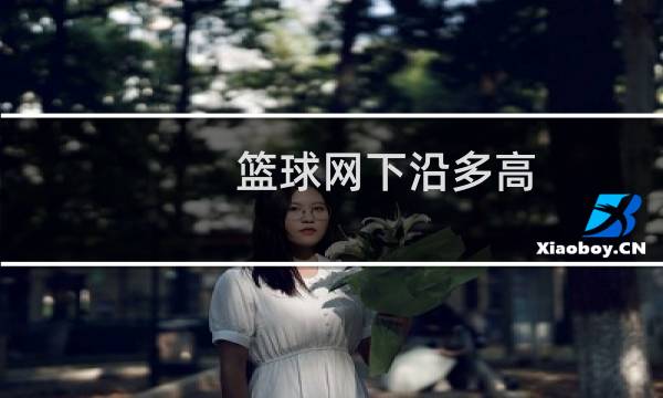 篮球网下沿多高图片