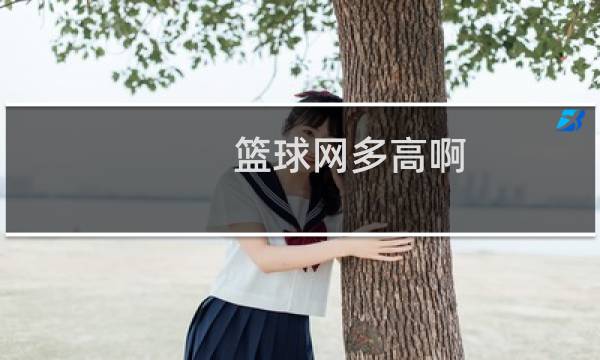 篮球网多高啊图片