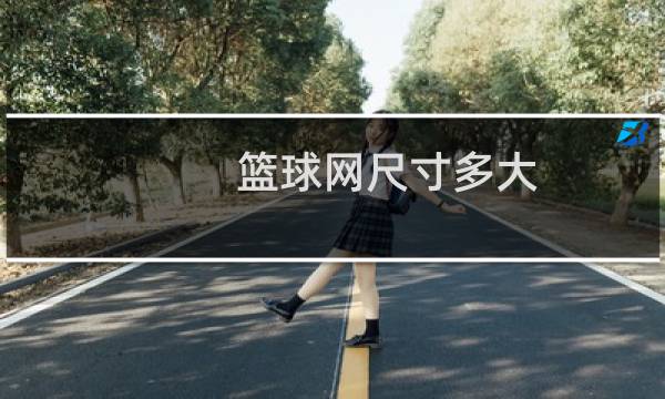 篮球网尺寸多大图片