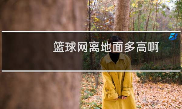 篮球网离地面多高啊图片
