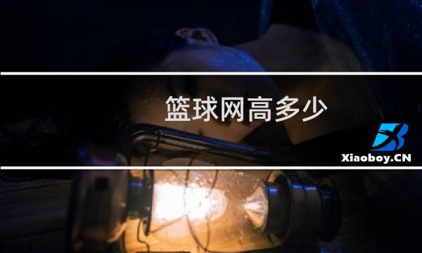 篮球网高多少图片