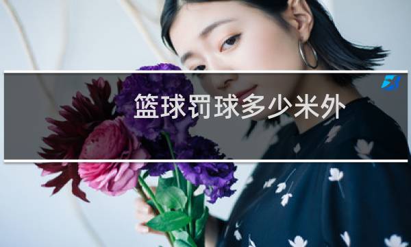 篮球罚球多少米外图片