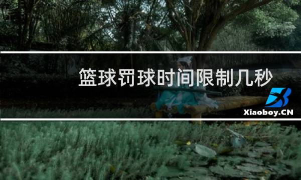 篮球罚球时间限制几秒图片
