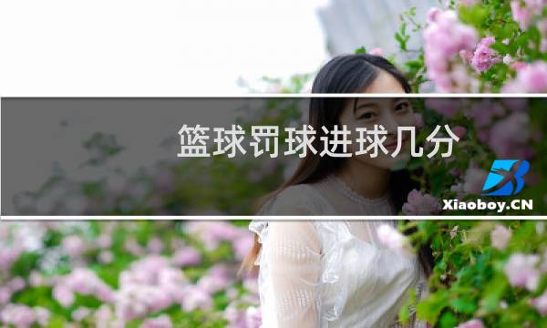 篮球罚球进球几分图片