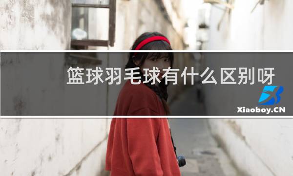 篮球羽毛球有什么区别呀图片