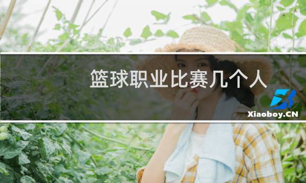 篮球职业比赛几个人图片
