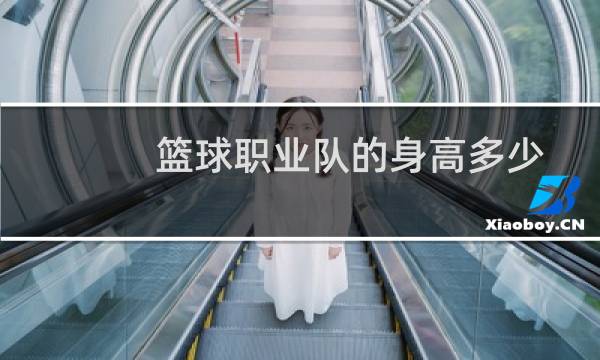 篮球职业队的身高多少图片