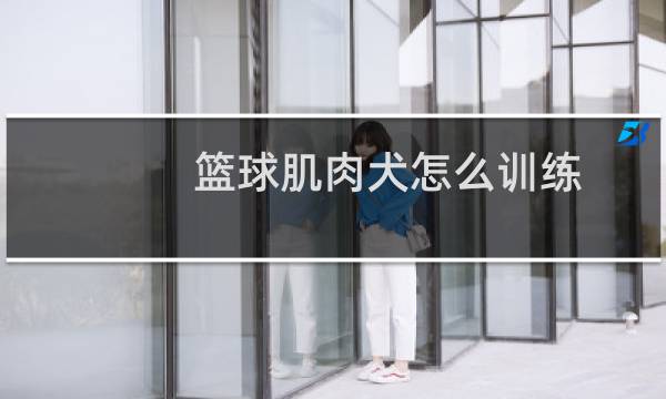 篮球肌肉犬怎么训练图片