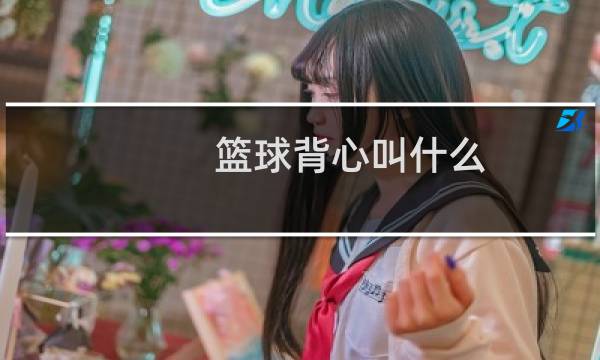 篮球背心叫什么图片