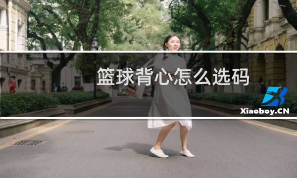 篮球背心怎么选码图片