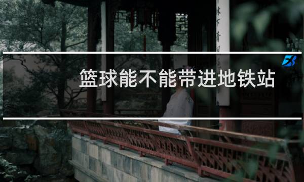 篮球能不能带进地铁站图片